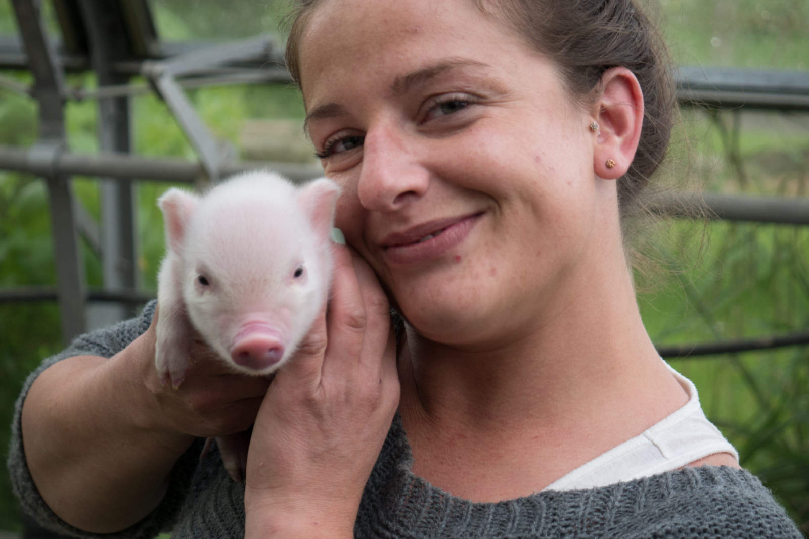 YoghurtRooms Piglet, Tinks, in Spring 2016 Image of Marte Bauer from YoghurtRooms holding piglet, Tinks, in Spring 2016